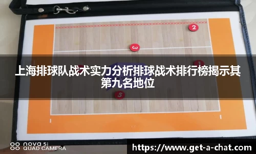 上海排球队战术实力分析排球战术排行榜揭示其第九名地位
